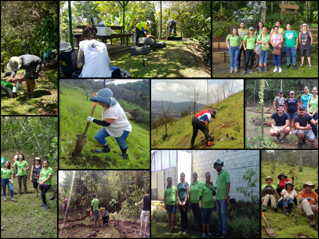 Actividades Brigada Ambiental