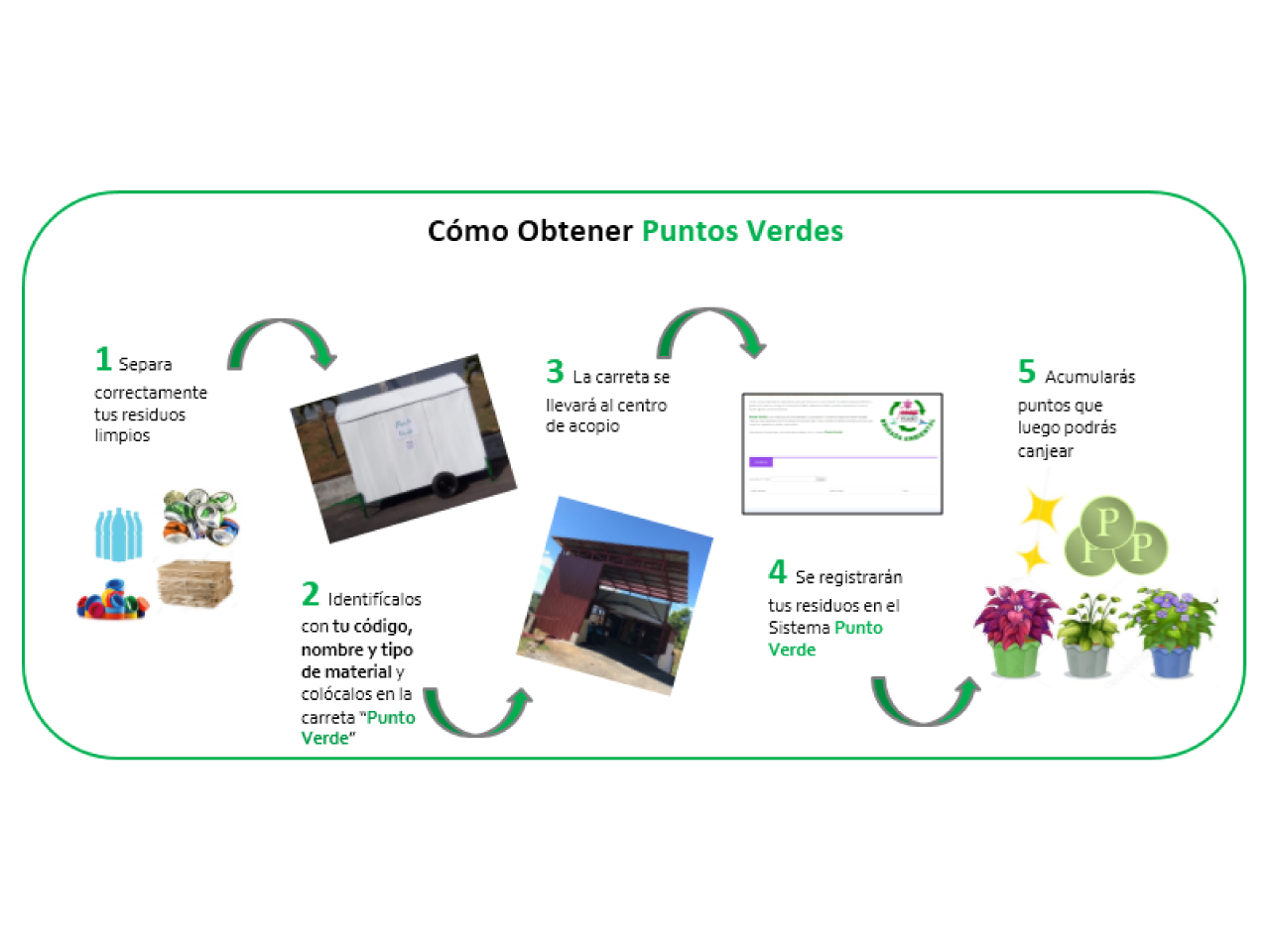 Grupo Brigada Ambiental